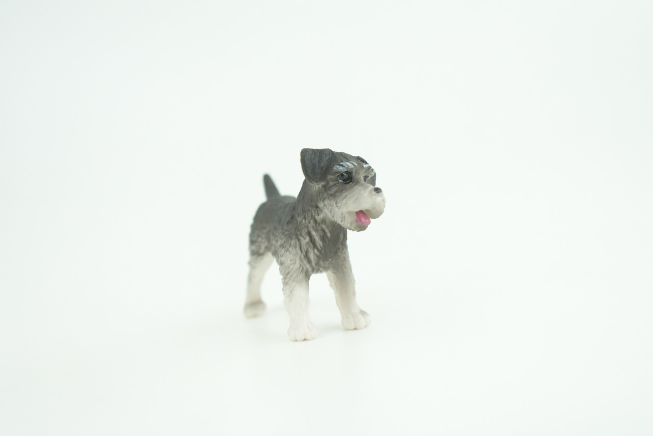 Schnauzer Dog Puppy, Hand Painted, Educational, Museum Quality, Rubber Canine, K9, Realistic, Diorama, Figure, Toys, Kids, Gift,  2 Inches.  CH961 BB209 