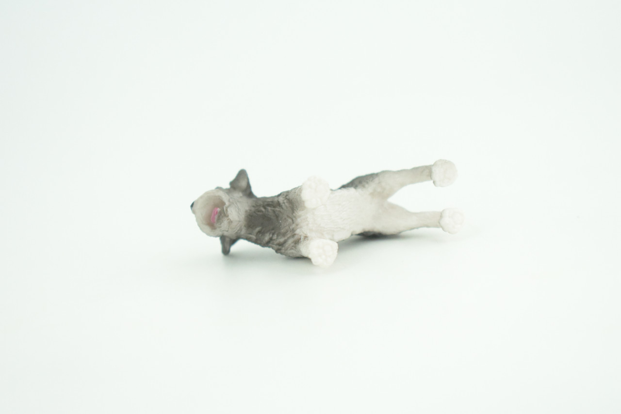 Schnauzer Dog Puppy, Hand Painted, Educational, Museum Quality, Rubber Canine, K9, Realistic, Diorama, Figure, Toys, Kids, Gift,  2 Inches.  CH961 BB209 