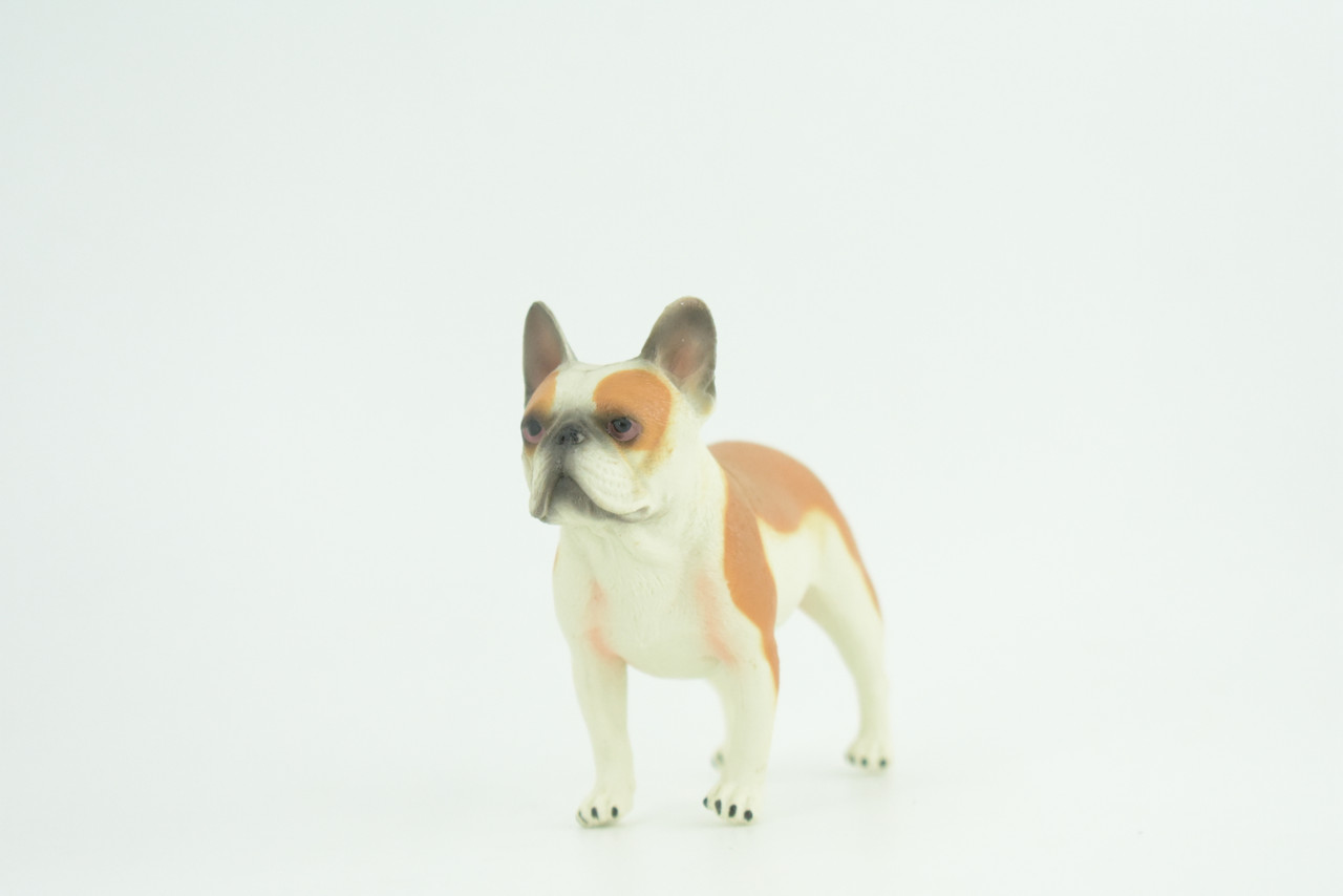 French Bulldog, Bull Dog, Hand Painted, Educational, Museum Quality, Rubber Canine, K9, Realistic, Diorama, Figure, Toys, Kids, Gift,  3 1/2 Inches.  CH962 BB209 