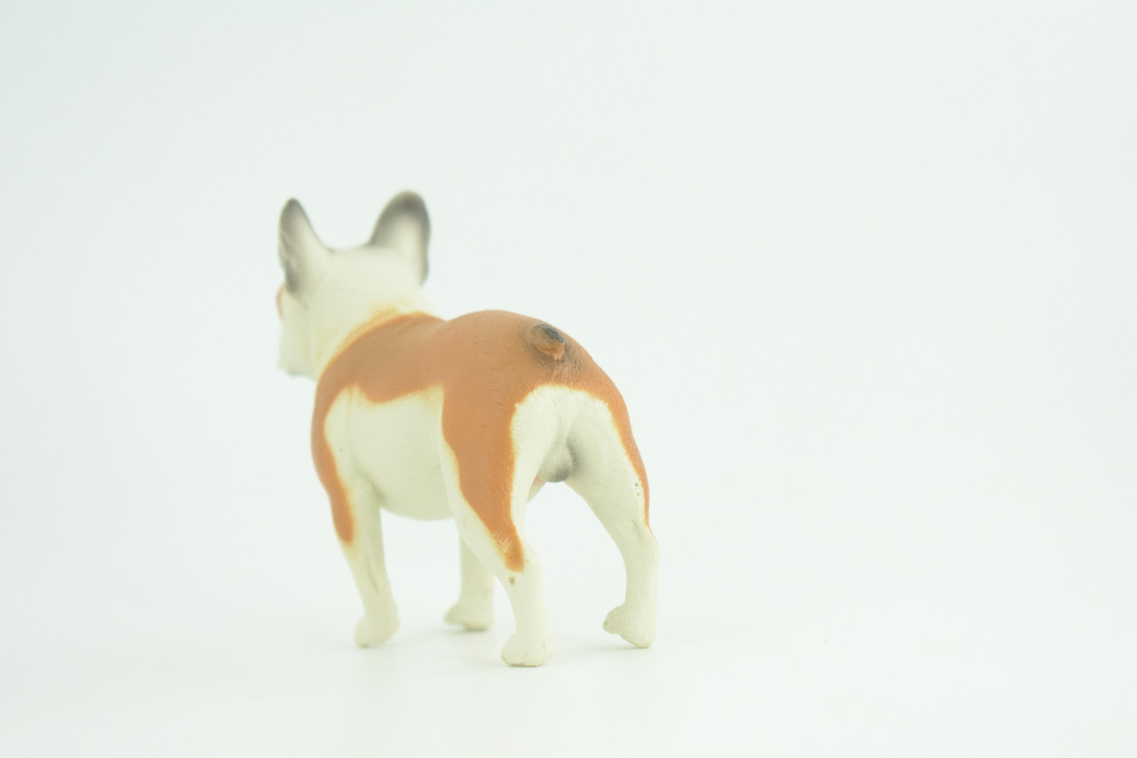 French Bulldog, Bull Dog, Hand Painted, Educational, Museum Quality, Rubber Canine, K9, Realistic, Diorama, Figure, Toys, Kids, Gift,  3 1/2 Inches.  CH962 BB209 