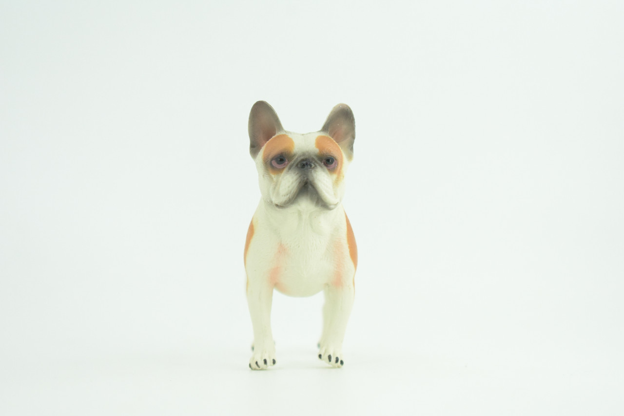 French Bulldog, Bull Dog, Hand Painted, Educational, Museum Quality, Rubber Canine, K9, Realistic, Diorama, Figure, Toys, Kids, Gift,  3 1/2 Inches.  CH962 BB209 