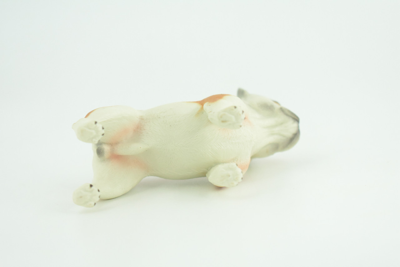 French Bulldog, Bull Dog, Hand Painted, Educational, Museum Quality, Rubber Canine, K9, Realistic, Diorama, Figure, Toys, Kids, Gift,  3 1/2 Inches.  CH962 BB209 
