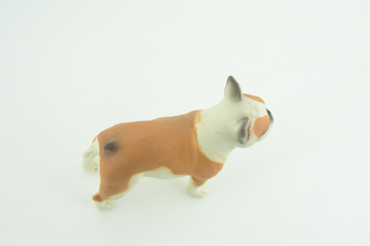 French Bulldog, Bull Dog, Hand Painted, Educational, Museum Quality, Rubber Canine, K9, Realistic, Diorama, Figure, Toys, Kids, Gift,  3 1/2 Inches.  CH962 BB209 
