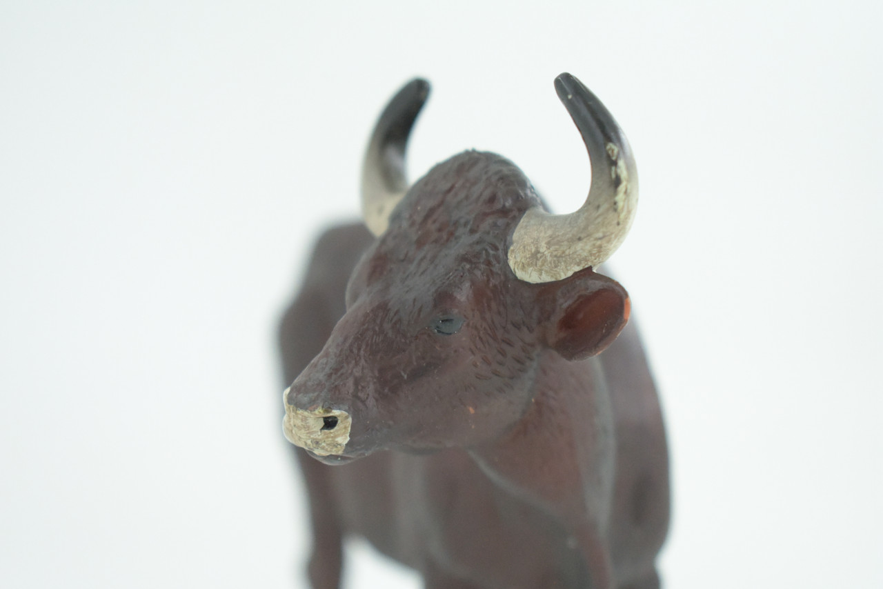 Gaur Bull, Brown, Museum Quality, Hand Painted, Educational, High Quality Rubber Cow, Realistic, Very Nice Design, Diorama, Toys, Kids, Gift,    6 Inches.  CH964 BB210 
