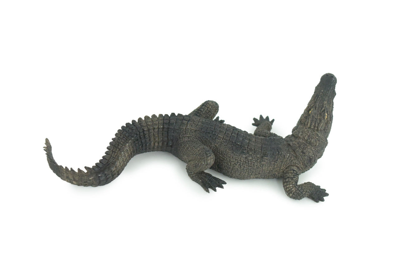 Alligator, American, Hand Painted, Museum Quality, Solid Rubber Crocodile, Reptile, Educational, Realistic, Figure, Toy, Kids, Replica, Gift, 8 Inches. CH965 BB210