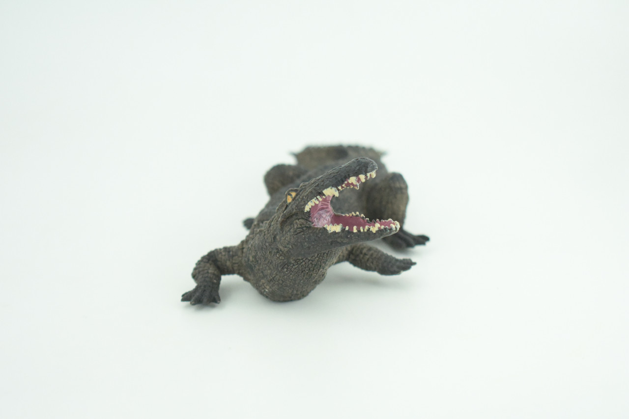 Alligator, American, Hand Painted, Museum Quality, Solid Rubber Crocodile, Reptile, Educational, Realistic, Figure, Toy, Kids, Replica, Gift,   8 Inches.  CH965 BB210