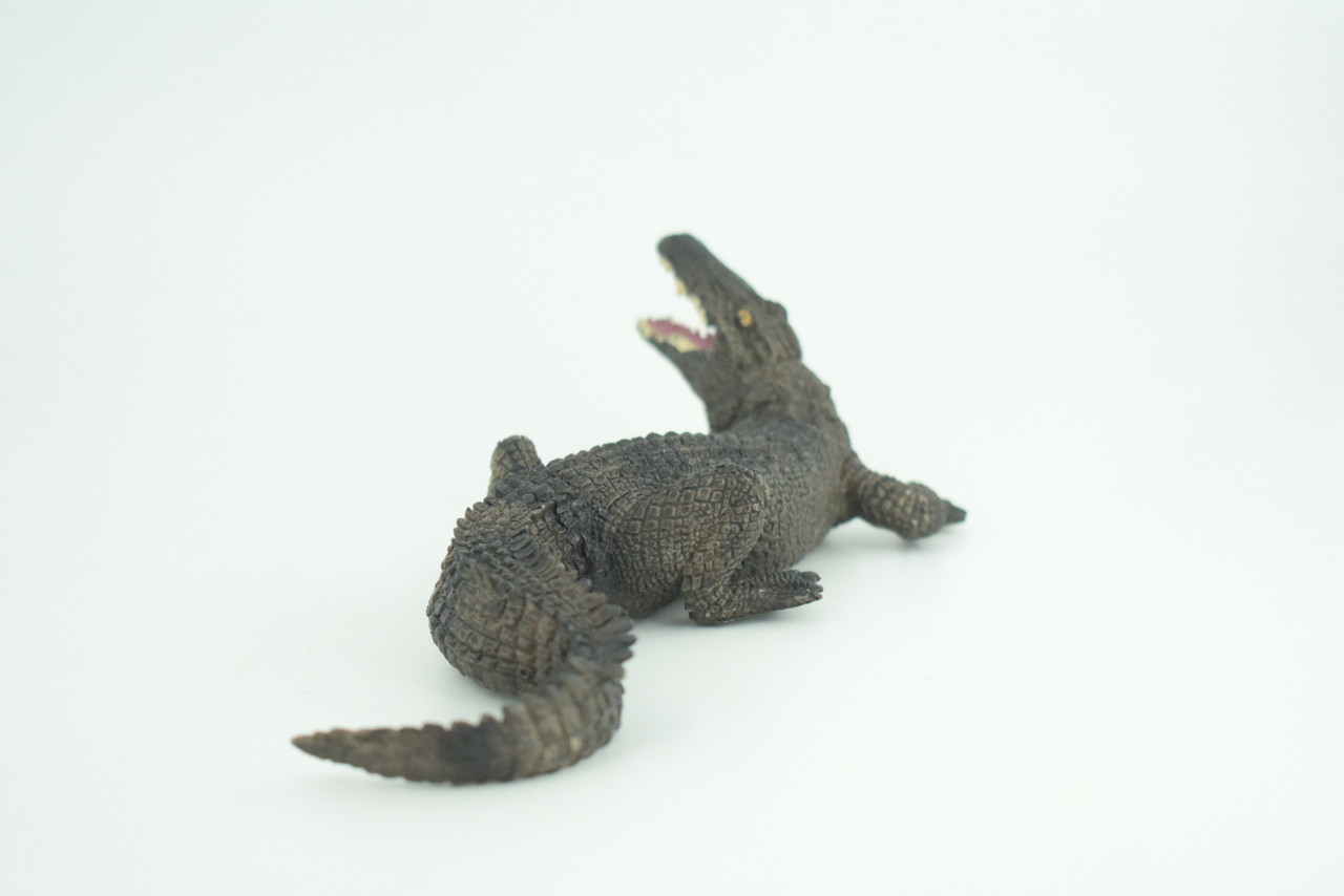 Alligator, American, Hand Painted, Museum Quality, Solid Rubber Crocodile, Reptile, Educational, Realistic, Figure, Toy, Kids, Replica, Gift,   8 Inches.  CH965 BB210