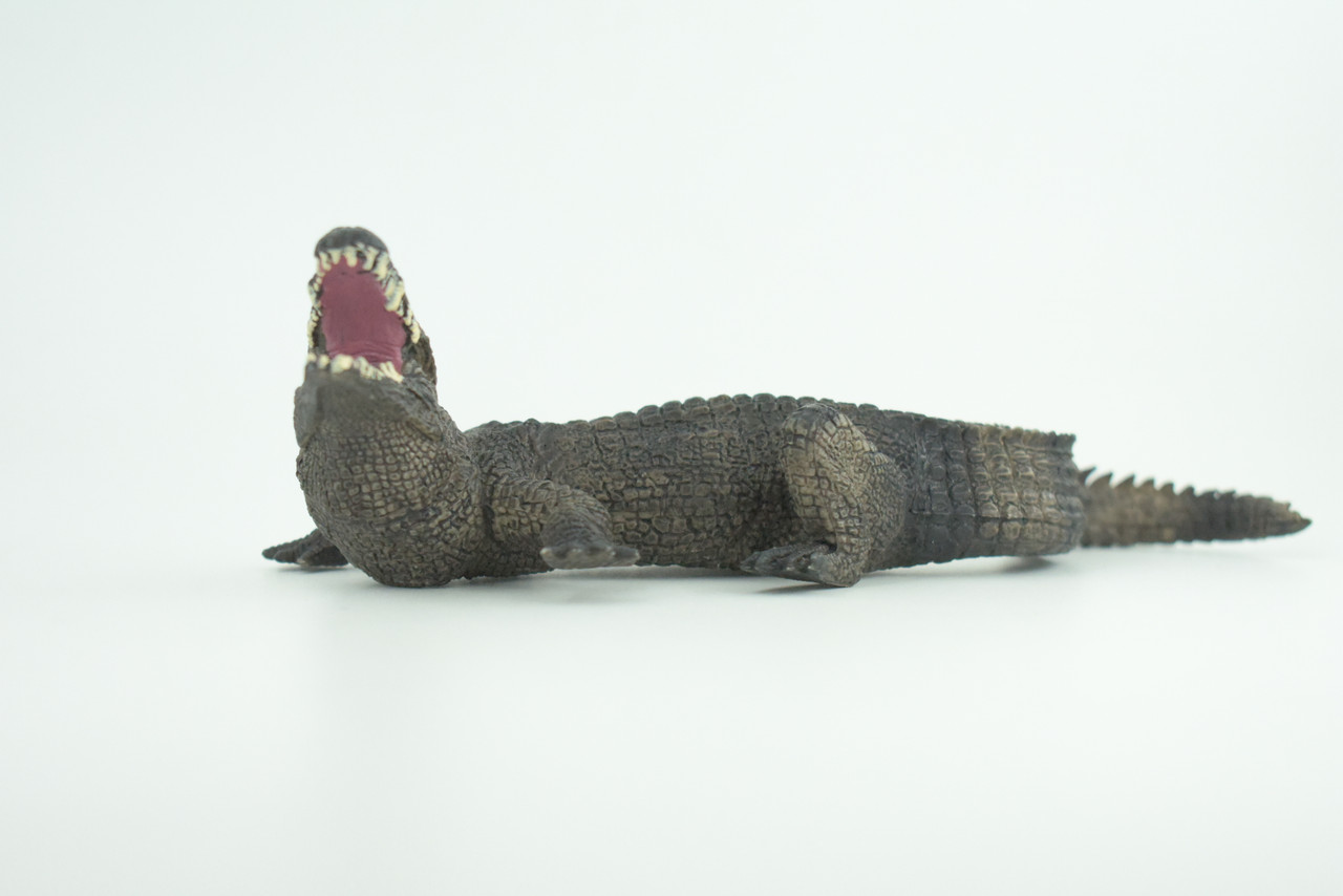 Alligator, American, Hand Painted, Museum Quality, Solid Rubber Crocodile, Reptile, Educational, Realistic, Figure, Toy, Kids, Replica, Gift,   8 Inches.  CH965 BB210