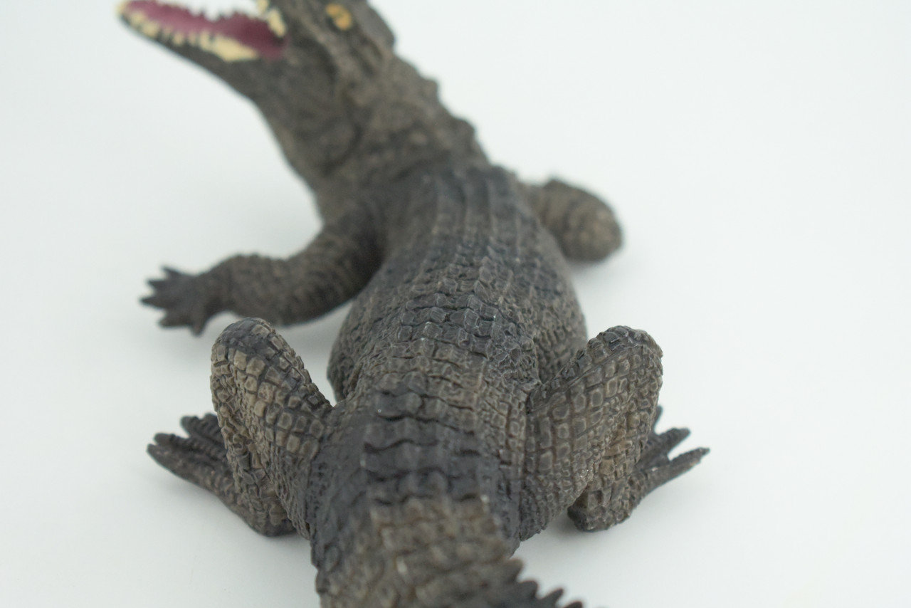 Alligator, American, Hand Painted, Museum Quality, Solid Rubber Crocodile, Reptile, Educational, Realistic, Figure, Toy, Kids, Replica, Gift,   8 Inches.  CH965 BB210
