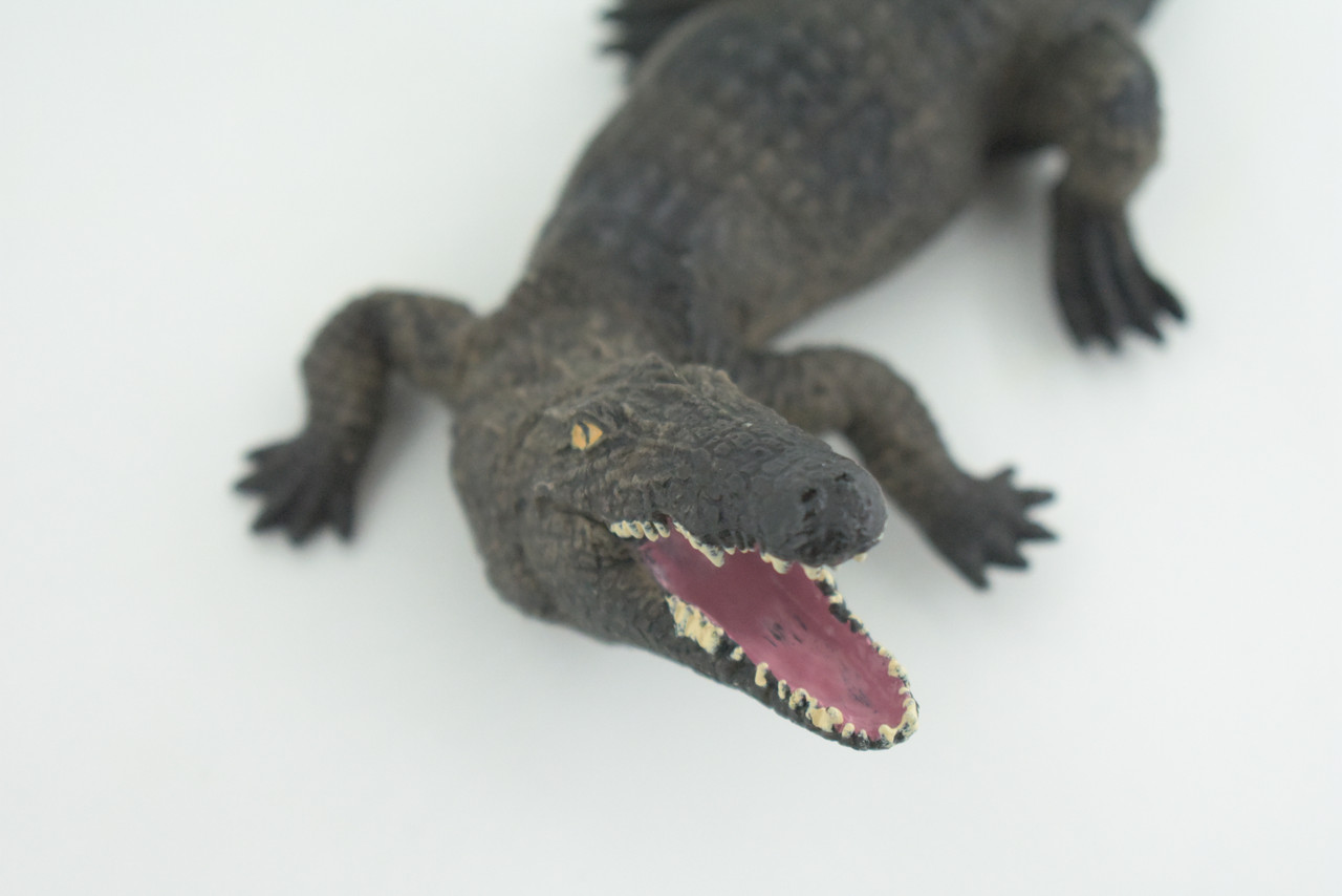 Alligator, American, Hand Painted, Museum Quality, Solid Rubber Crocodile, Reptile, Educational, Realistic, Figure, Toy, Kids, Replica, Gift,   8 Inches.  CH965 BB210