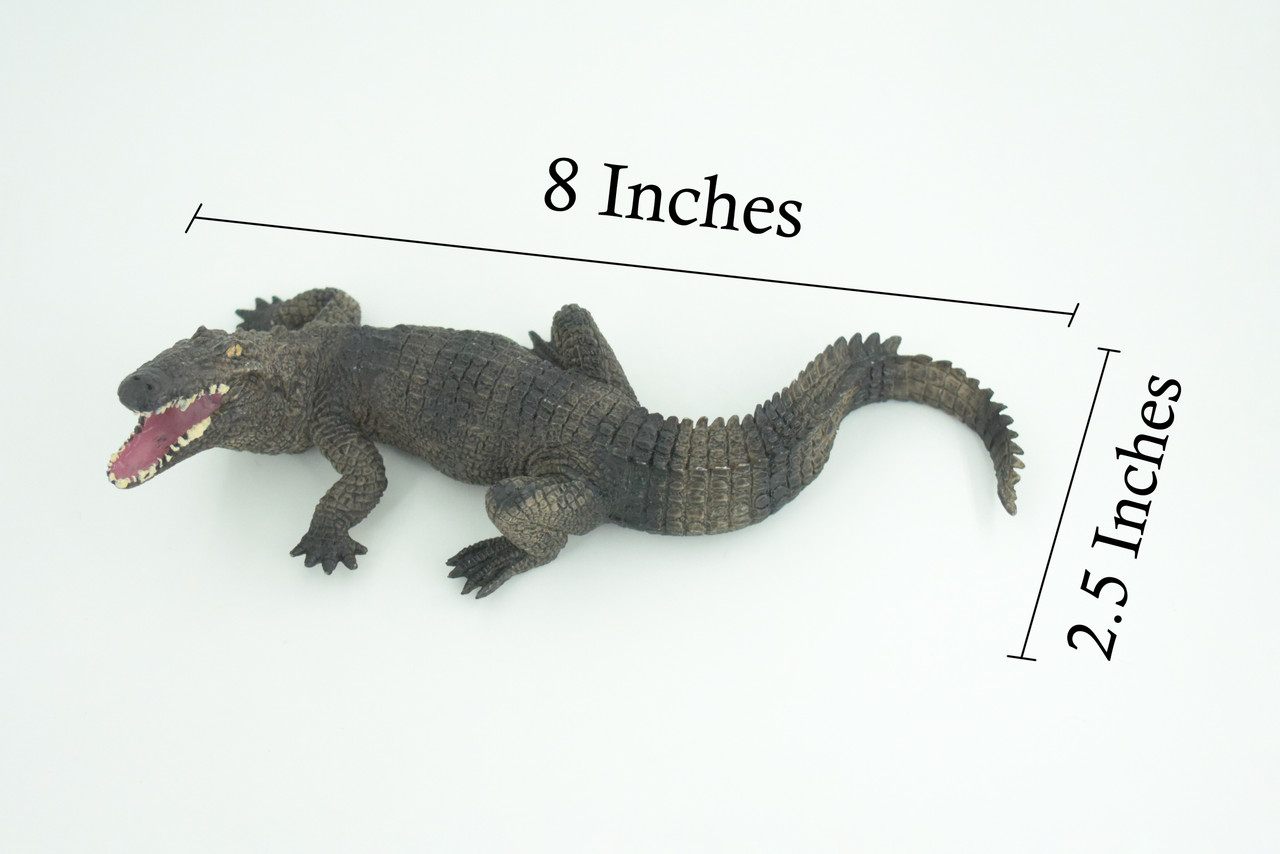 Alligator, American, Hand Painted, Museum Quality, Solid Rubber Crocodile, Reptile, Educational, Realistic, Figure, Toy, Kids, Replica, Gift, 8 Inches. CH965 BB210