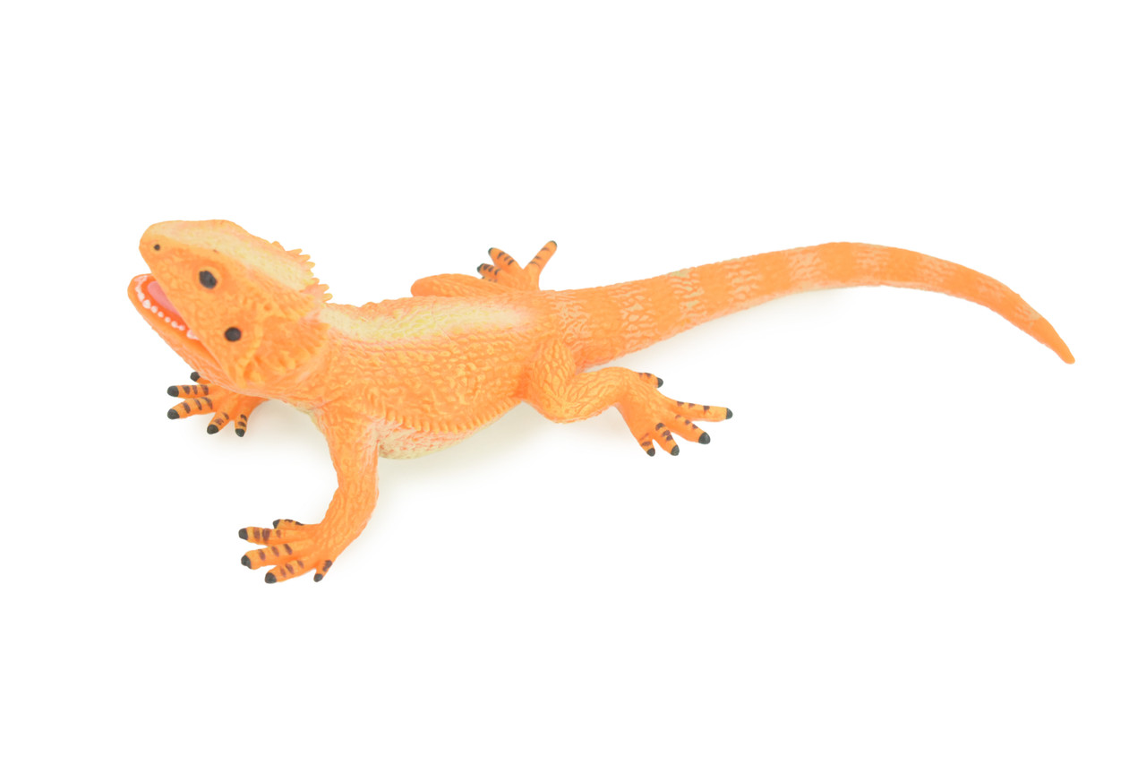 Rock Agama Lizard, (Agama lionotus) Hand Painted, Museum Quality, Solid Rubber Reptile, Educational, Realistic, Figure, Toy, Kids, Gift, 9 Inches. CH966 BB210