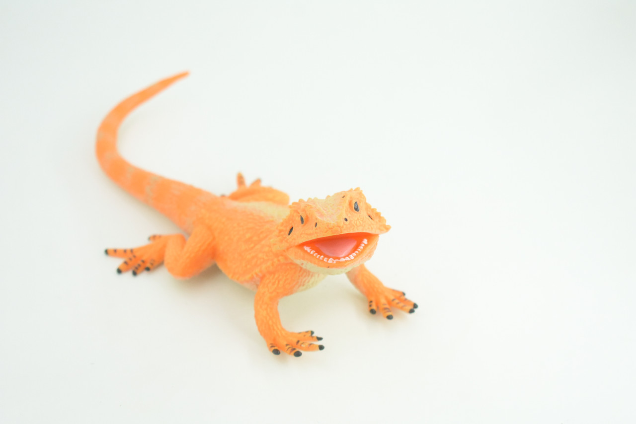 Rock Agama Lizard, (Agama lionotus) Hand Painted, Museum Quality, Solid Rubber Reptile, Educational, Realistic, Figure, Toy, Kids, Gift,  9 Inches.  CH966 BB210