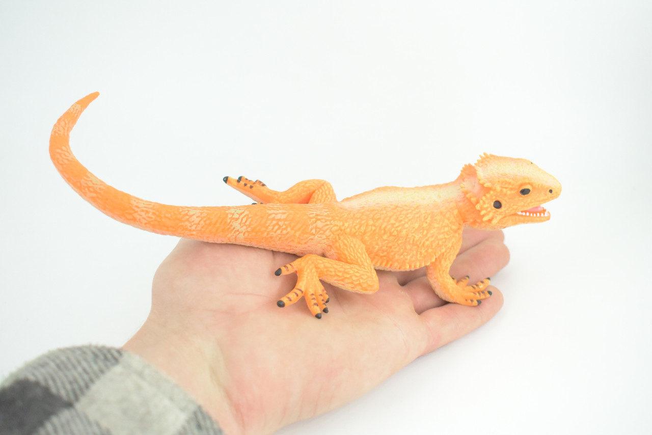 Rock Agama Lizard, (Agama lionotus) Hand Painted, Museum Quality, Solid Rubber Reptile, Educational, Realistic, Figure, Toy, Kids, Gift, 9 Inches. CH966 BB210