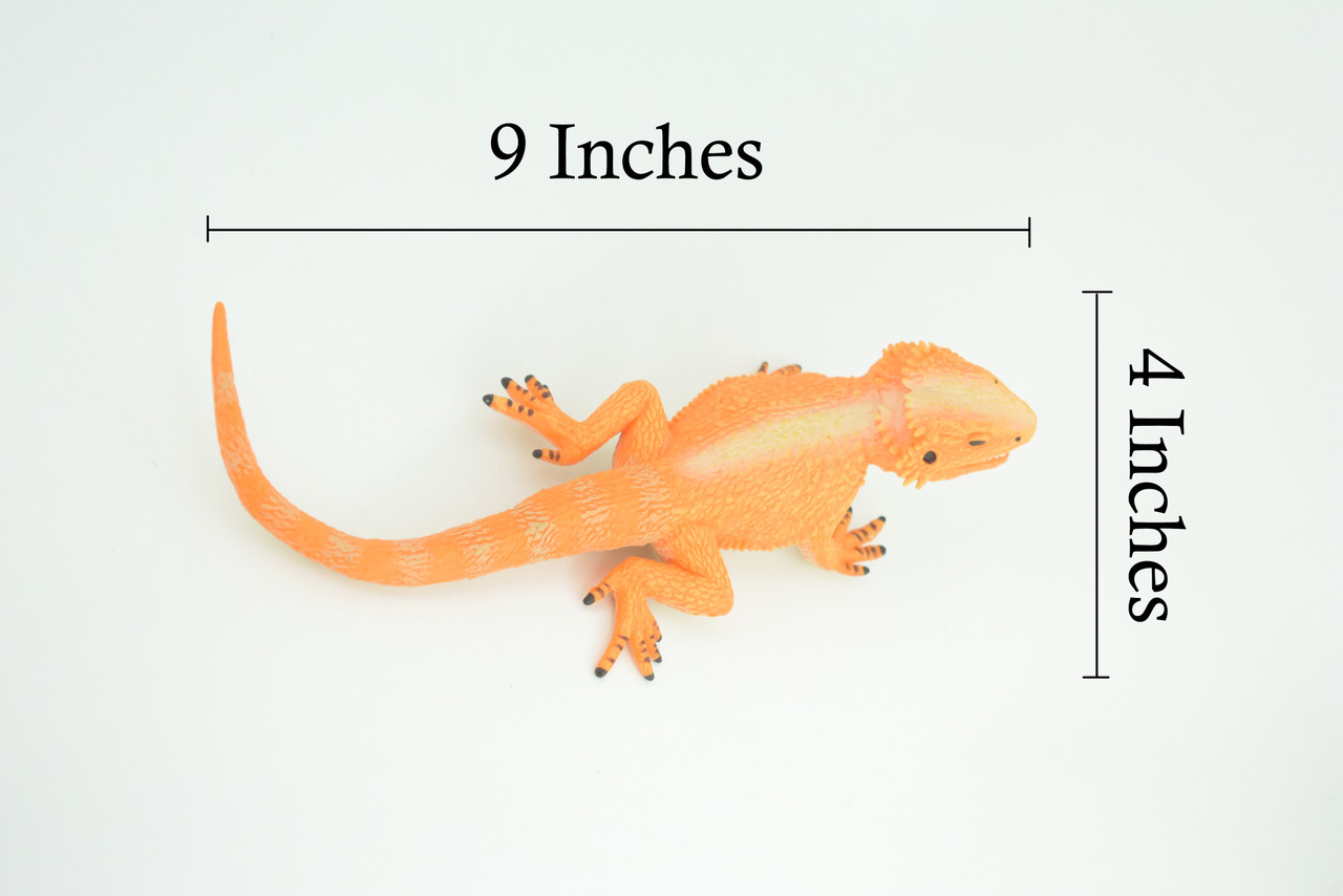 Rock Agama Lizard, (Agama lionotus) Hand Painted, Museum Quality, Solid Rubber Reptile, Educational, Realistic, Figure, Toy, Kids, Gift, 9 Inches. CH966 BB210