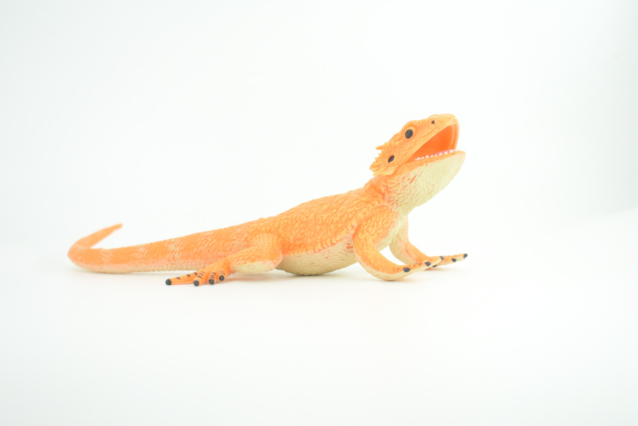 Rock Agama Lizard, (Agama lionotus) Hand Painted, Museum Quality, Solid Rubber Reptile, Educational, Realistic, Figure, Toy, Kids, Gift,  9 Inches.  CH966 BB210