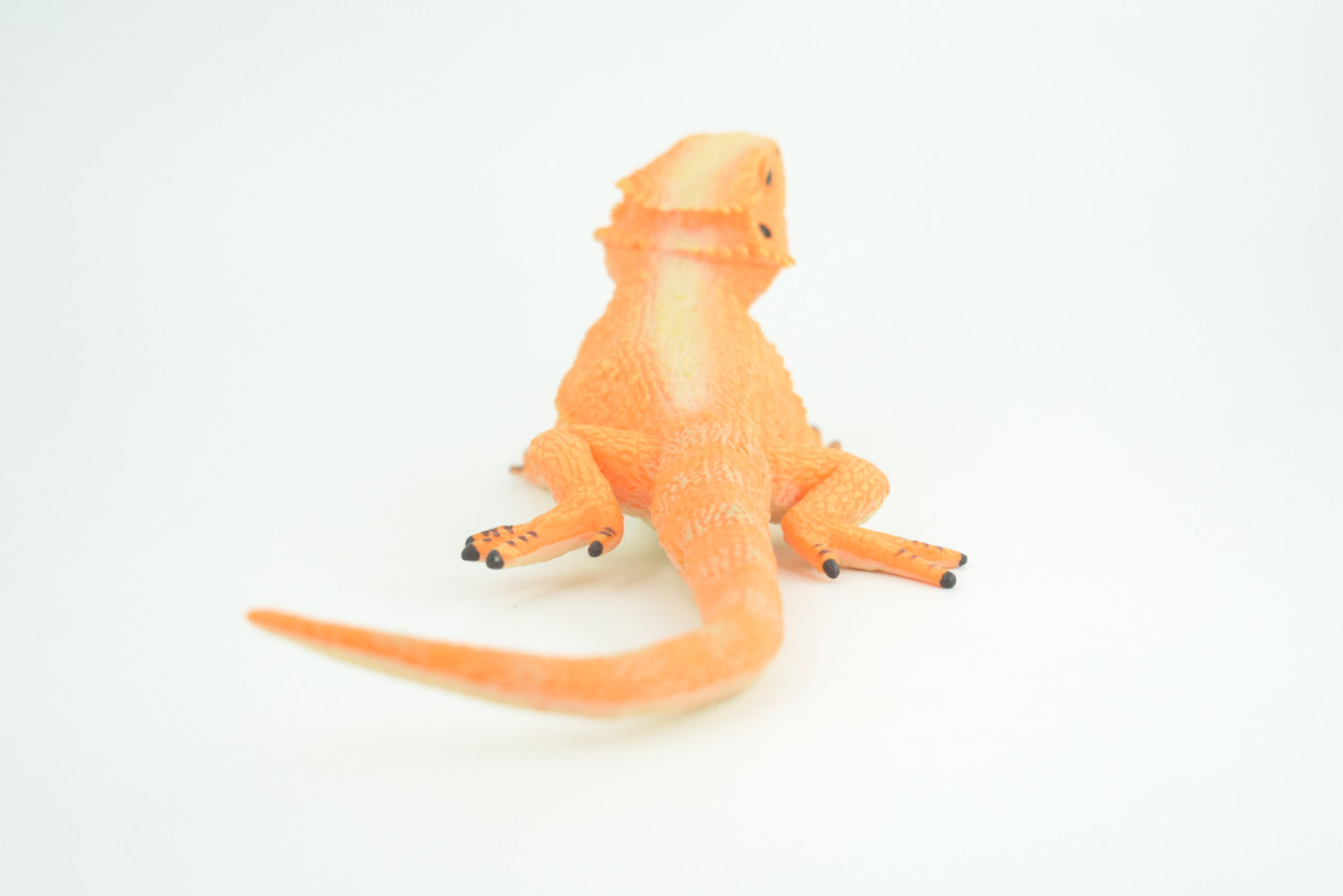 Rock Agama Lizard, (Agama lionotus) Hand Painted, Museum Quality, Solid Rubber Reptile, Educational, Realistic, Figure, Toy, Kids, Gift,  9 Inches.  CH966 BB210