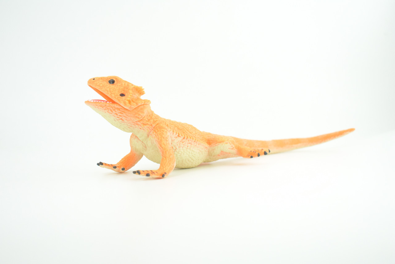 Rock Agama Lizard, (Agama lionotus) Hand Painted, Museum Quality, Solid Rubber Reptile, Educational, Realistic, Figure, Toy, Kids, Gift,  9 Inches.  CH966 BB210