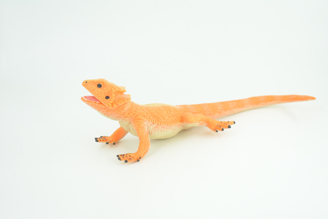 Rock Agama Lizard, (Agama lionotus) Hand Painted, Museum Quality, Solid Rubber Reptile, Educational, Realistic, Figure, Toy, Kids, Gift,  9 Inches.  CH966 BB210