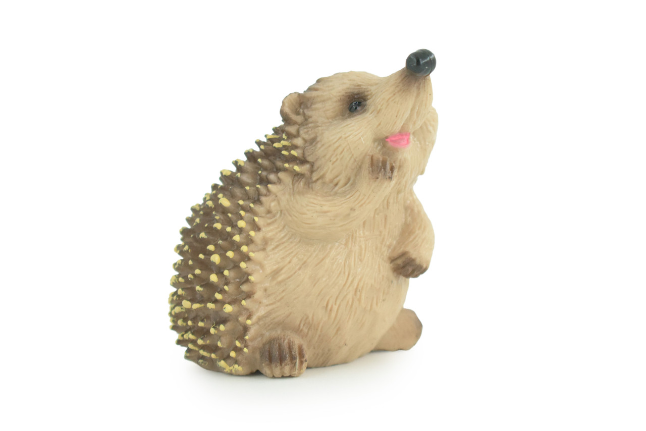 Hedgehog, Sitting, Museum Quality, Educational, Hand Painted, Very Nice Rubber Animal, Realistic, Diorama, Toy, Kids, Gift, 3 Inches. CH972 BB212