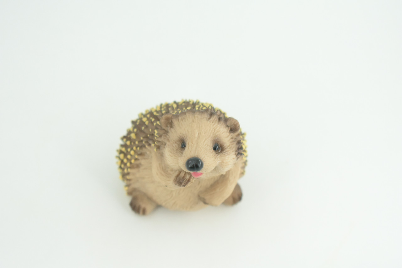 Hedgehog, Sitting, Museum Quality, Educational, Hand Painted, Very Nice Rubber Animal, Realistic, Diorama, Toy, Kids, Gift,   3 Inches.  CH972 BB212 