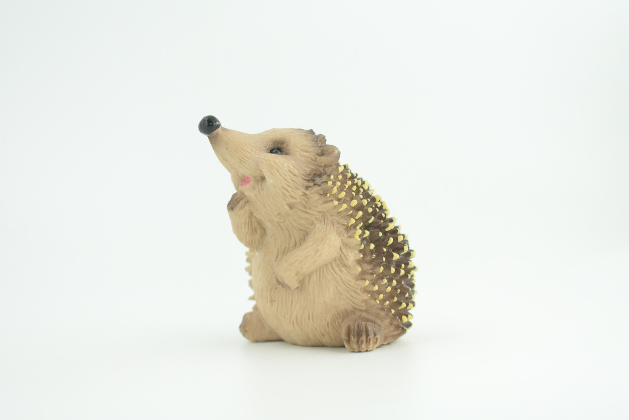 Hedgehog, Sitting, Museum Quality, Educational, Hand Painted, Very Nice Rubber Animal, Realistic, Diorama, Toy, Kids, Gift,   3 Inches.  CH972 BB212 