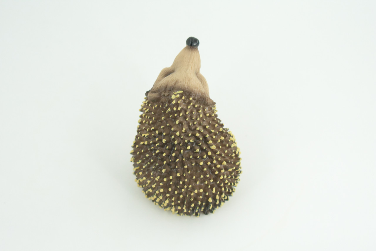 Hedgehog, Sitting, Museum Quality, Educational, Hand Painted, Very Nice Rubber Animal, Realistic, Diorama, Toy, Kids, Gift,   3 Inches.  CH972 BB212 