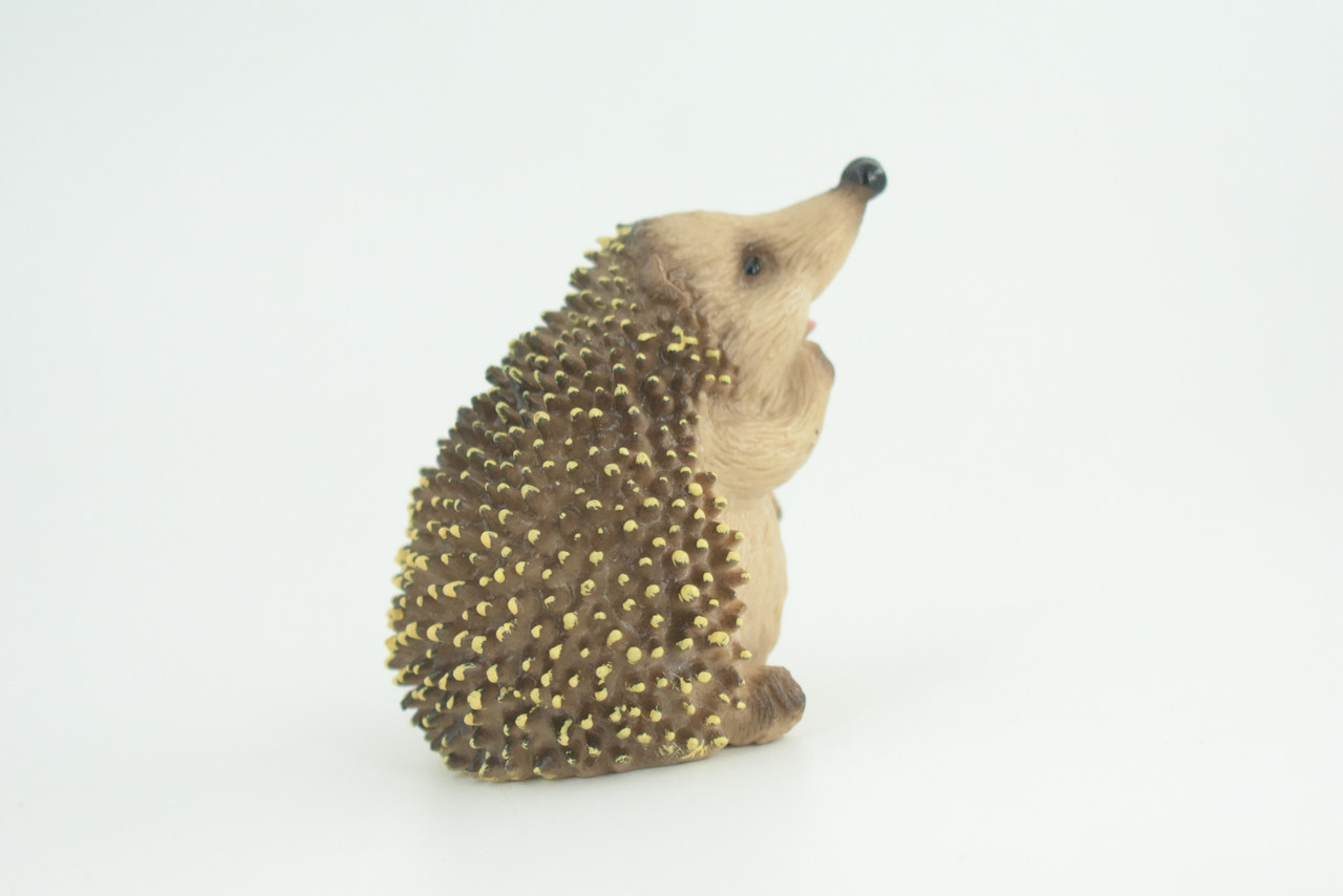 Hedgehog, Sitting, Museum Quality, Educational, Hand Painted, Very Nice Rubber Animal, Realistic, Diorama, Toy, Kids, Gift,   3 Inches.  CH972 BB212 