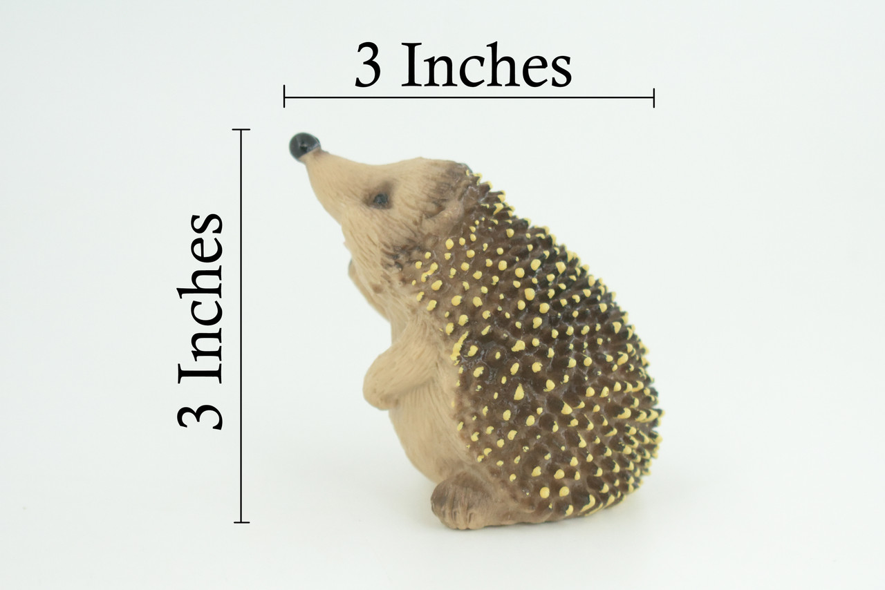 Hedgehog, Sitting, Museum Quality, Educational, Hand Painted, Very Nice Rubber Animal, Realistic, Diorama, Toy, Kids, Gift, 3 Inches. CH972 BB212