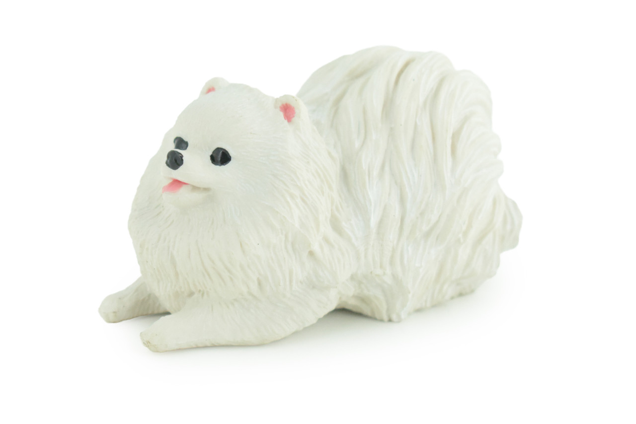 Pomeranian Dog, White, Hand Painted, Educational, Museum Quality, Rubber Canine, K9, Realistic, Diorama, Figure, Toys, Kids, Gift, 3 Inches. CH974 BB212
