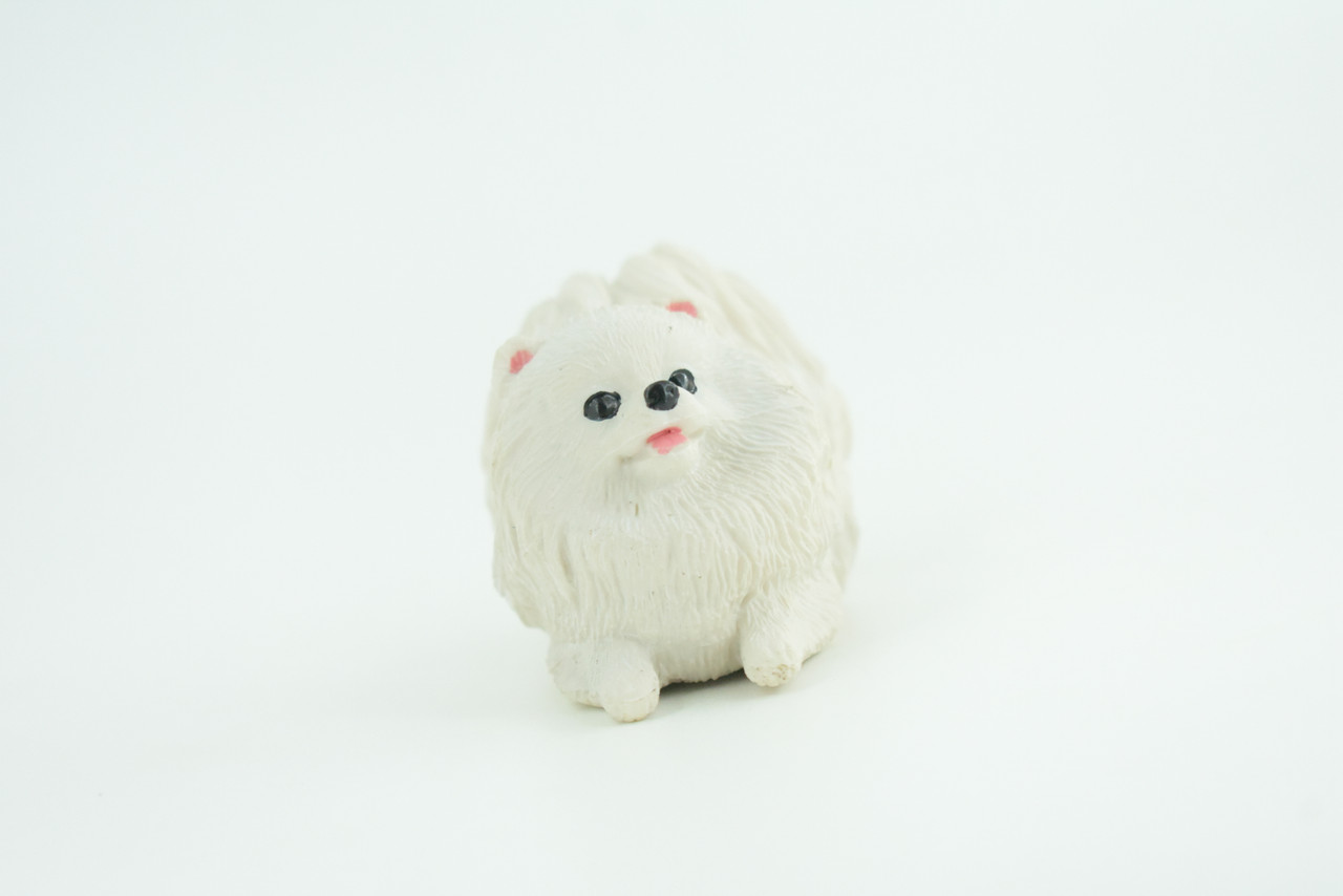 Pomeranian Dog, White, Hand Painted, Educational, Museum Quality, Rubber Canine, K9, Realistic, Diorama, Figure, Toys, Kids, Gift,  3 Inches.  CH974 BB212 