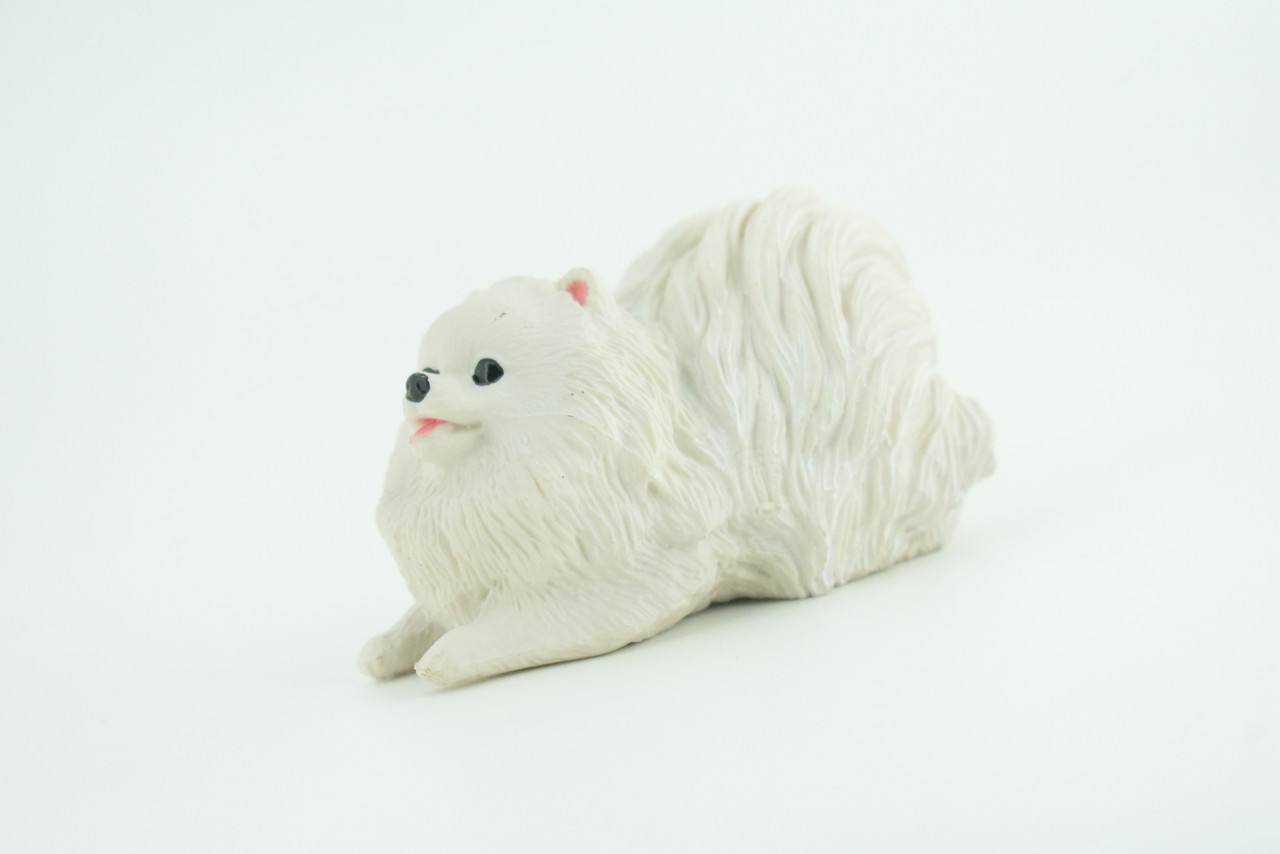 Pomeranian Dog, White, Hand Painted, Educational, Museum Quality, Rubber Canine, K9, Realistic, Diorama, Figure, Toys, Kids, Gift,  3 Inches.  CH974 BB212 