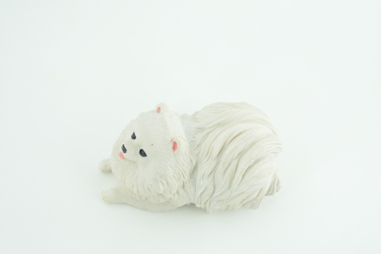 Pomeranian Dog, White, Hand Painted, Educational, Museum Quality, Rubber Canine, K9, Realistic, Diorama, Figure, Toys, Kids, Gift,  3 Inches.  CH974 BB212 