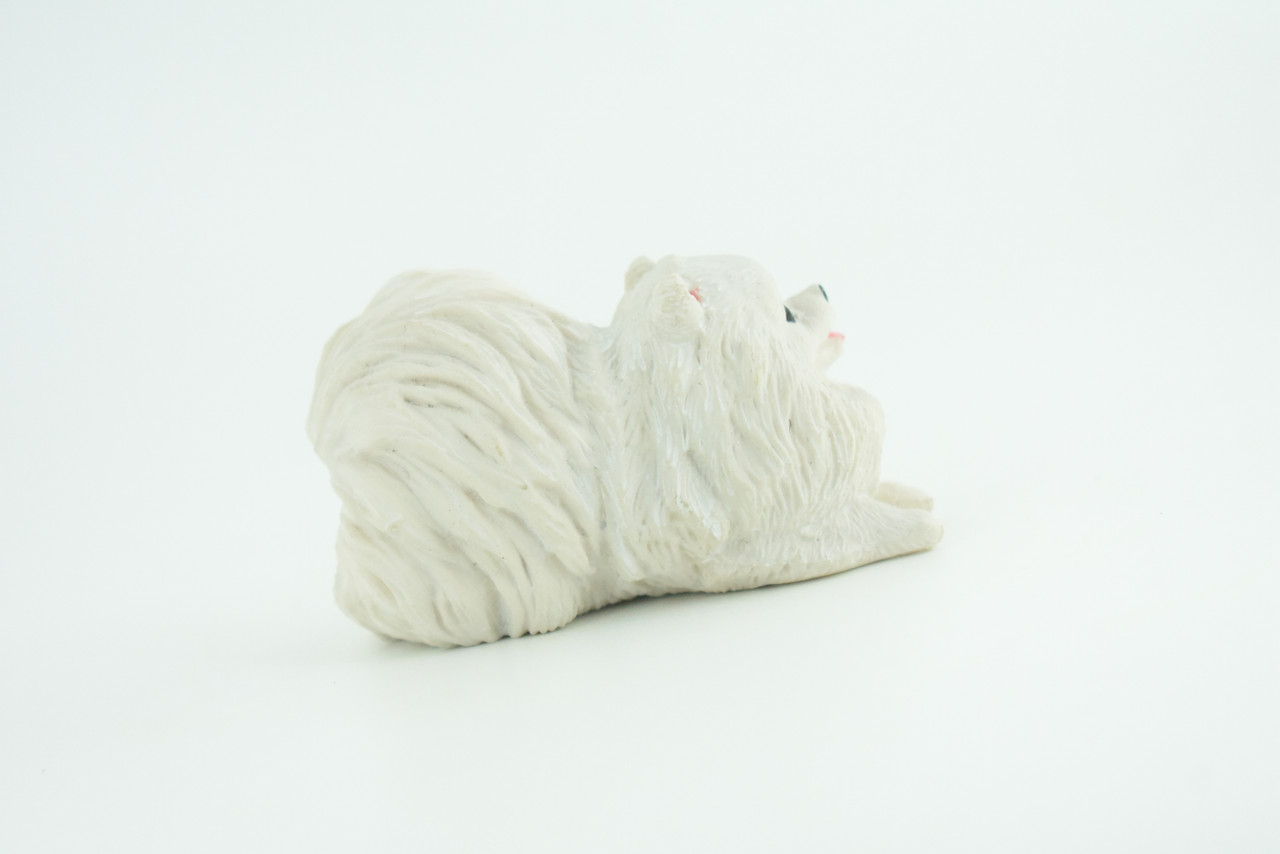 Pomeranian Dog, White, Hand Painted, Educational, Museum Quality, Rubber Canine, K9, Realistic, Diorama, Figure, Toys, Kids, Gift,  3 Inches.  CH974 BB212 