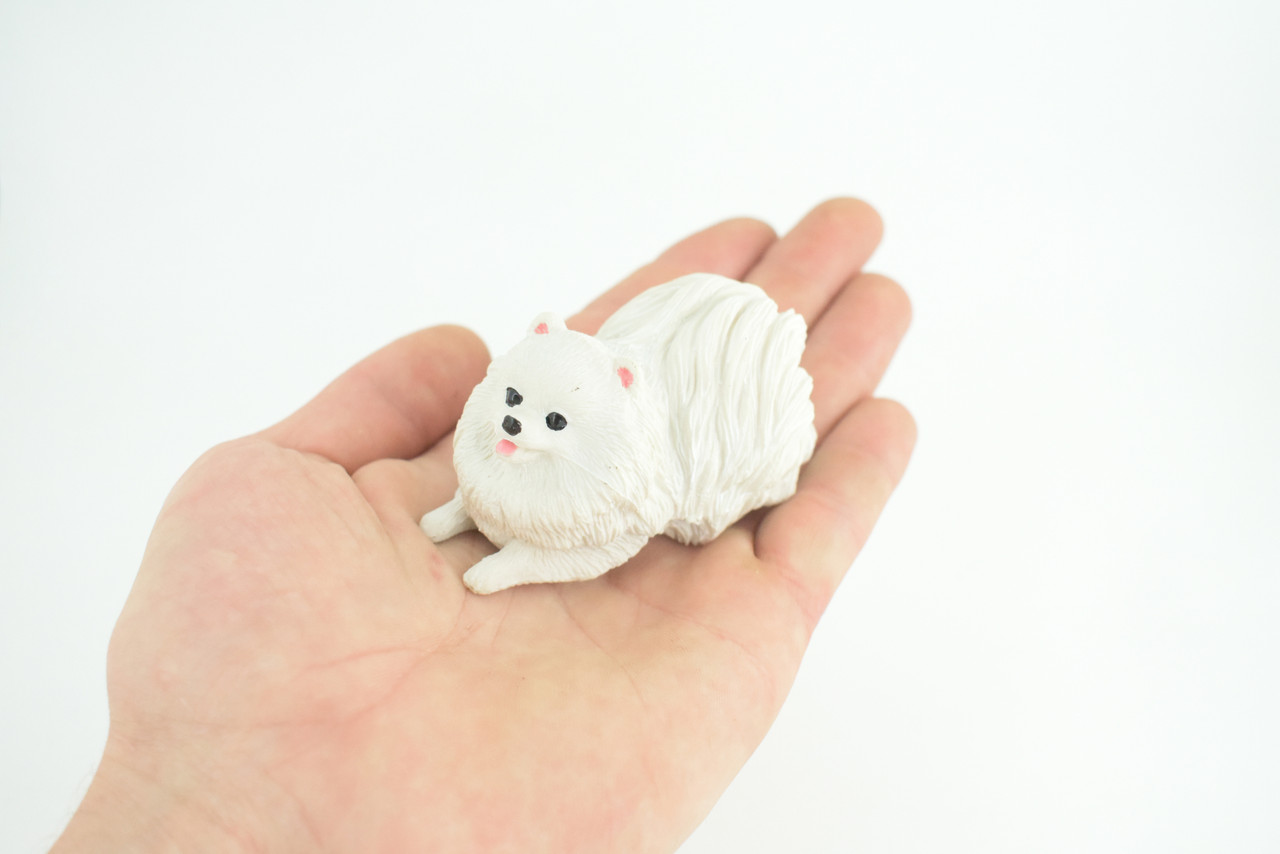 Pomeranian Dog, White, Hand Painted, Educational, Museum Quality, Rubber Canine, K9, Realistic, Diorama, Figure, Toys, Kids, Gift, 3 Inches. CH974 BB212
