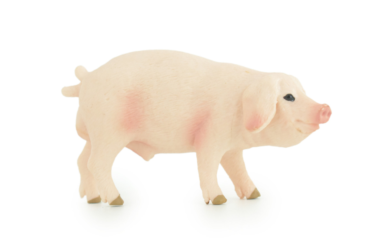 Pig, Male, Hog, Domesticated, Hand Painted, Educational, Museum Quality, Rubber Animal, Realistic, Diorama, Figure, Toys, Kids, Gift, 4 Inches. CH975 BB213