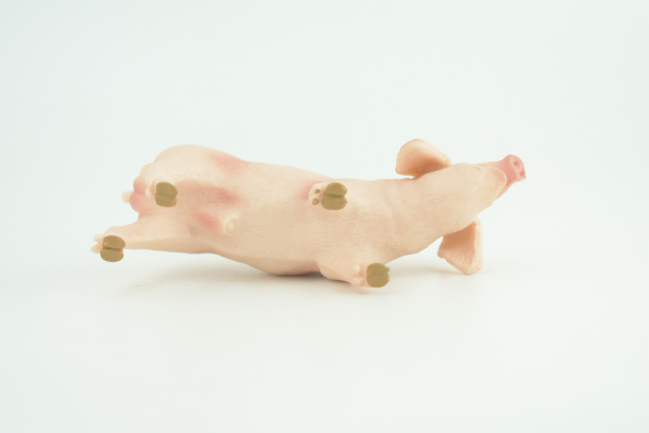 Pig, Male, Hog, Domesticated, Hand Painted, Educational, Museum Quality, Rubber Animal, Realistic, Diorama, Figure, Toys, Kids, Gift,  4 Inches.  CH975 BB213 