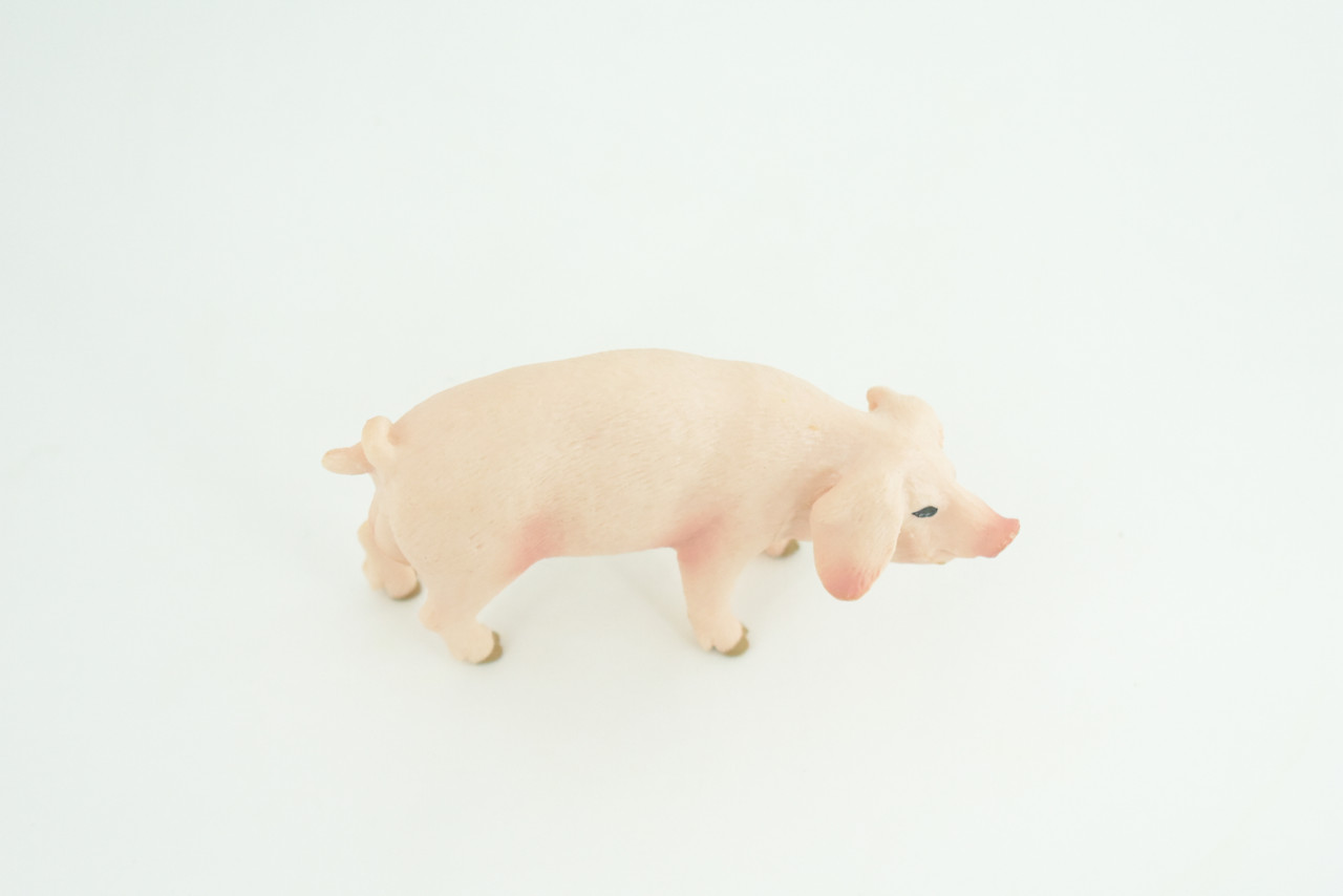 Pig, Male, Hog, Domesticated, Hand Painted, Educational, Museum Quality, Rubber Animal, Realistic, Diorama, Figure, Toys, Kids, Gift,  4 Inches.  CH975 BB213 