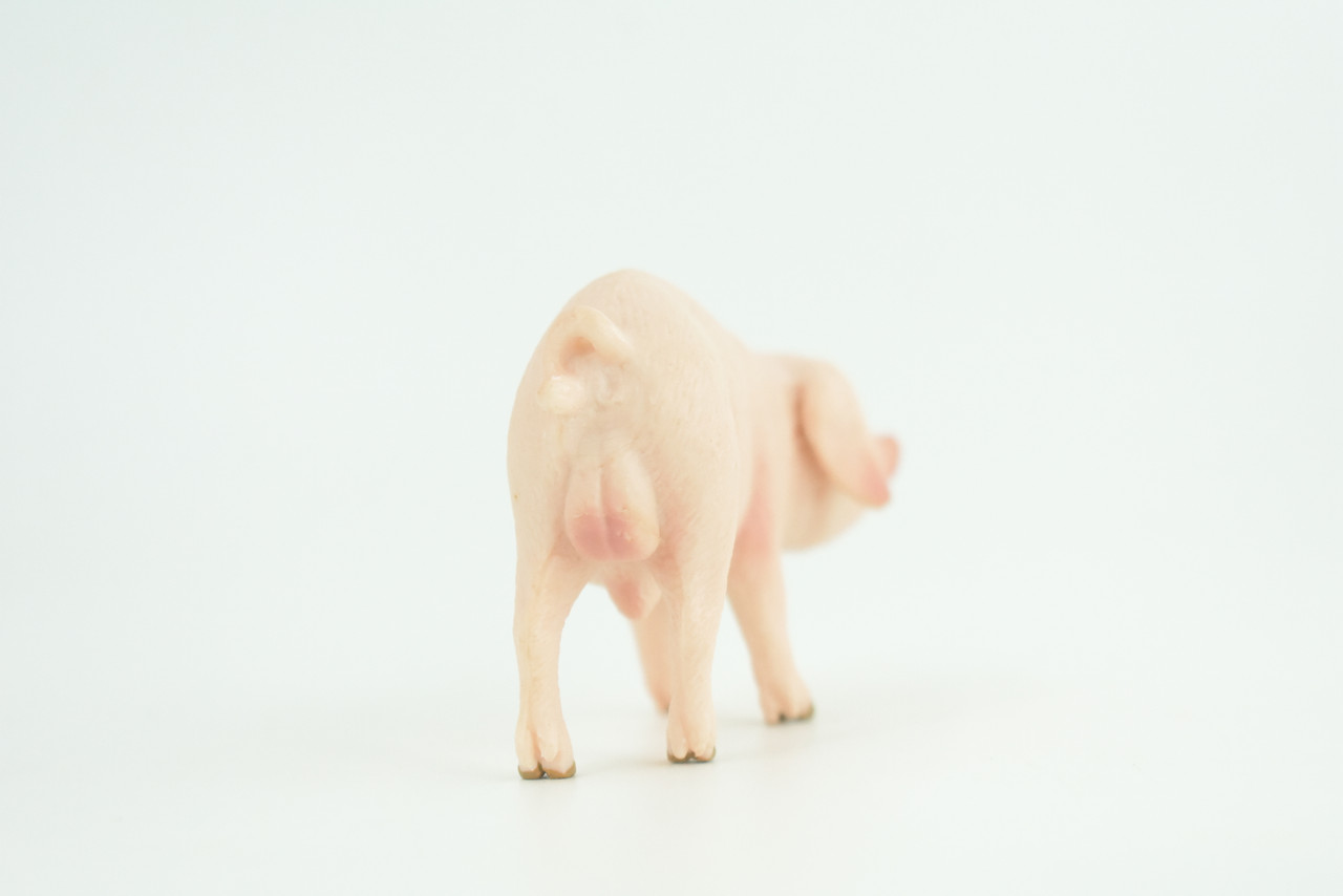 Pig, Male, Hog, Domesticated, Hand Painted, Educational, Museum Quality, Rubber Animal, Realistic, Diorama, Figure, Toys, Kids, Gift,  4 Inches.  CH975 BB213 