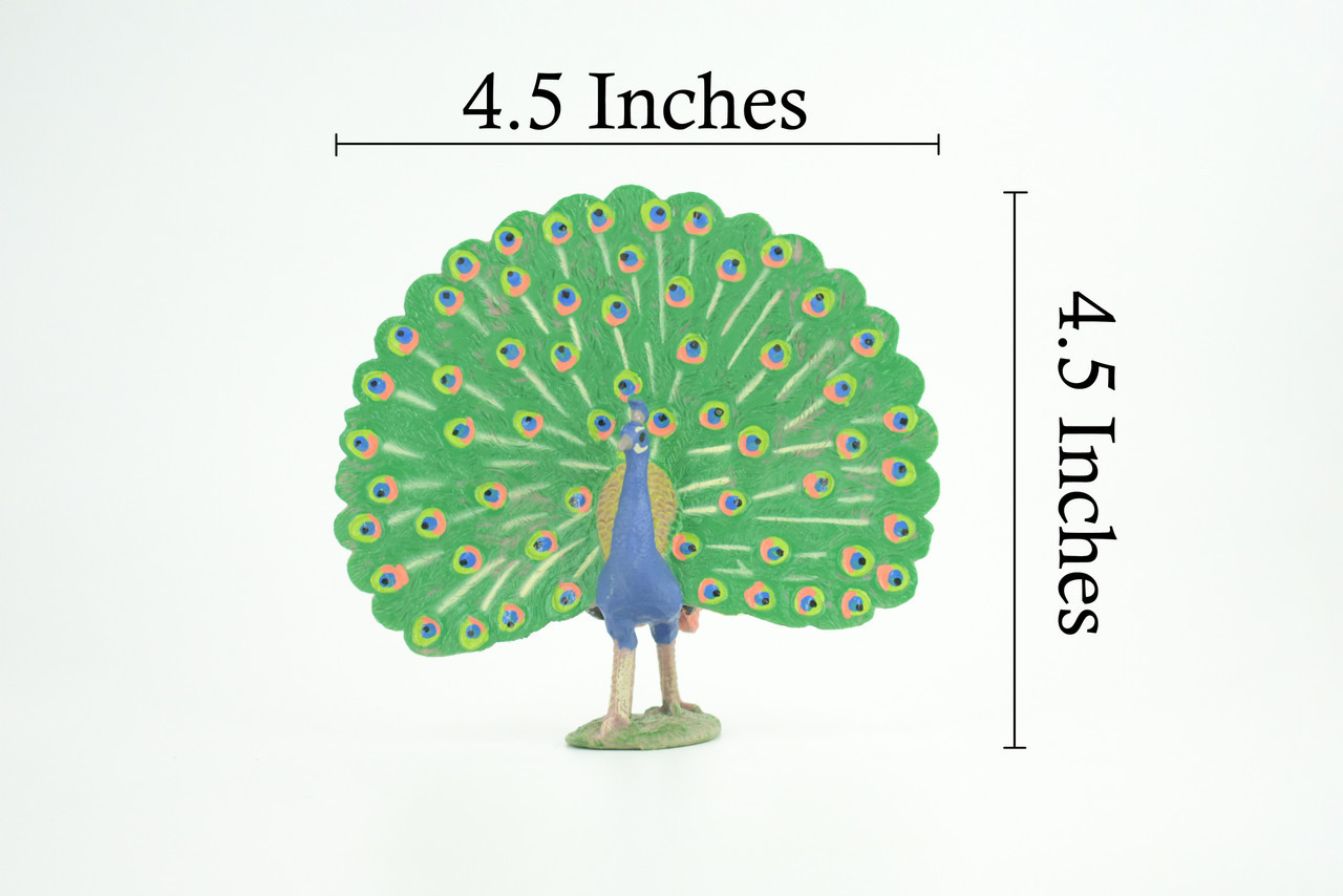 Peacock, Peafowl, Hand Painted, Educational, High Quality Rubber Bird, Realistic, Diorama, Very Nice Design, Figure, Toys, Kids, Gift, 4 1/2 Inches. CH978 BB213