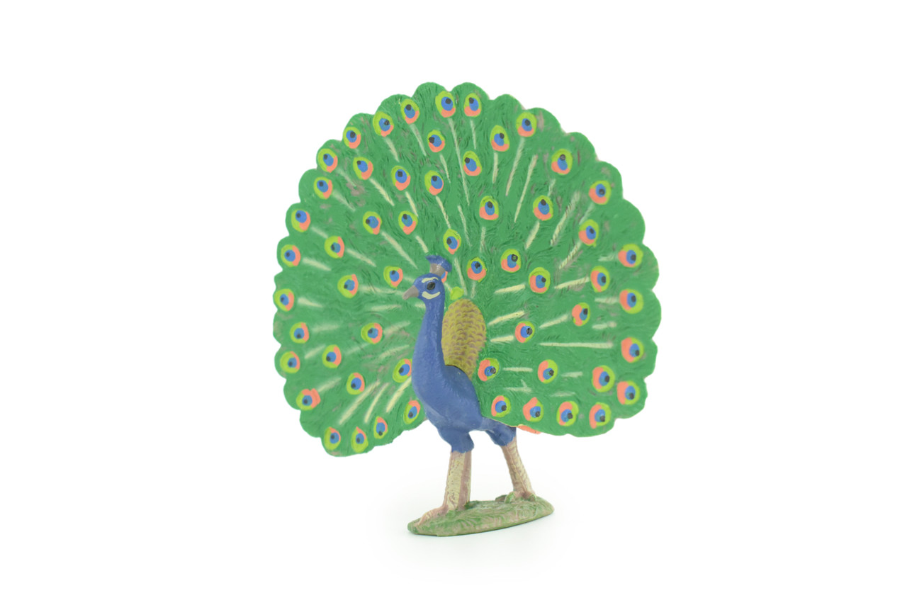 Peacock, Peafowl, Hand Painted, Educational, High Quality Rubber Bird, Realistic, Diorama, Very Nice Design, Figure, Toys, Kids, Gift, 4 1/2 Inches. CH978 BB213