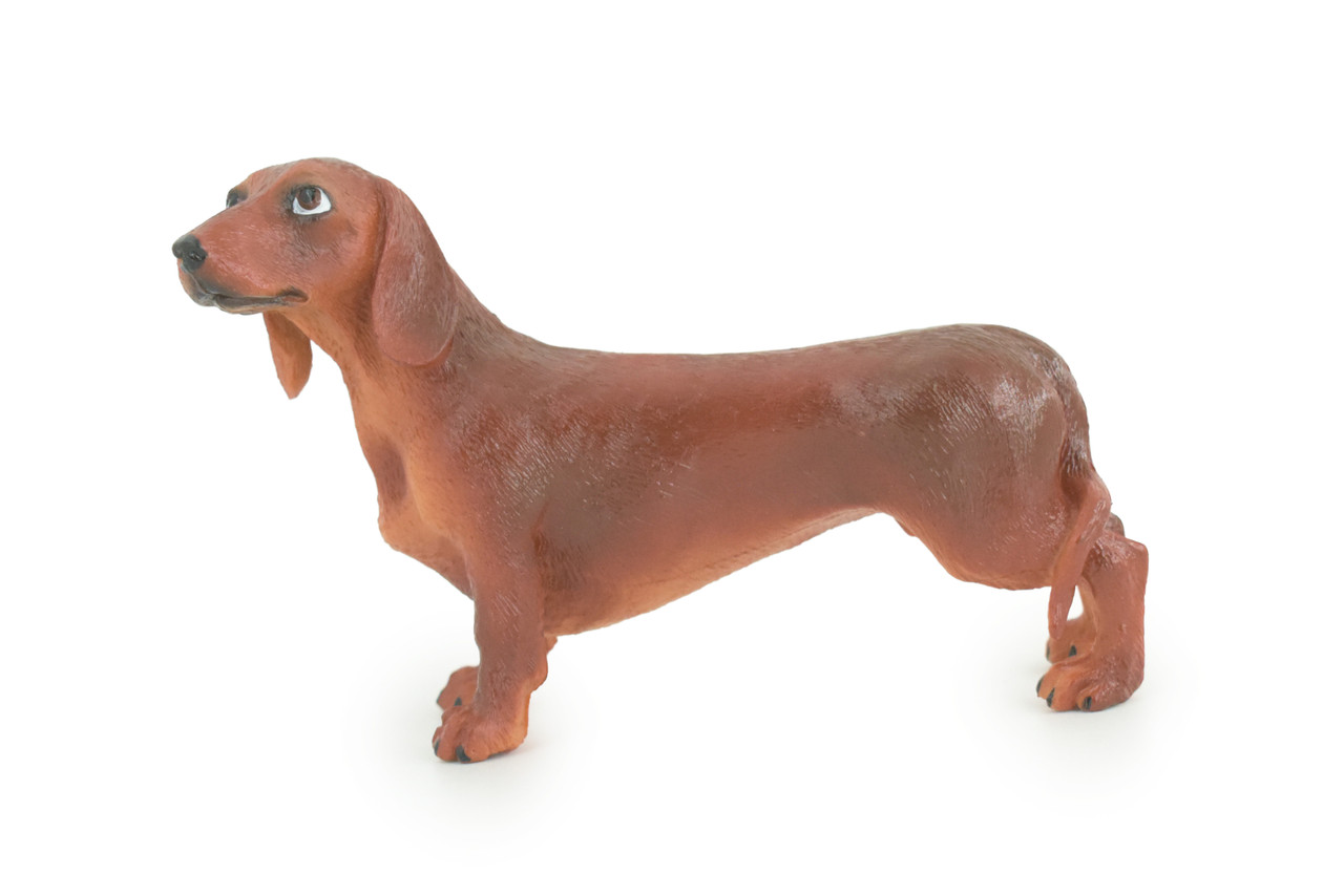 Dachshund Dog, Brown, Hand Painted, Educational, Museum Quality, Rubber Canine, K9, Realistic, Diorama, Figure, Toys, Kids, Gift, 6 Inches. CH979 BB213
