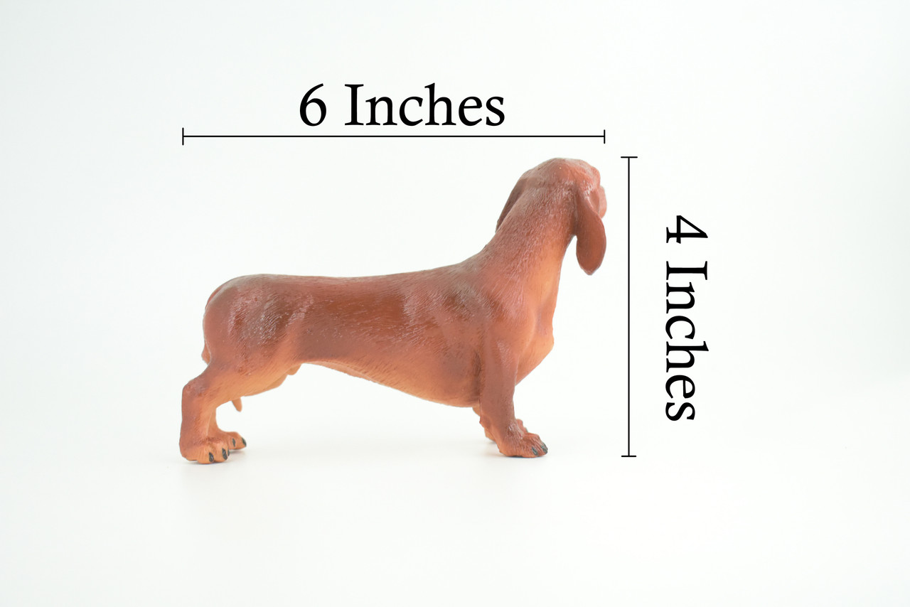Dachshund Dog, Brown, Hand Painted, Educational, Museum Quality, Rubber Canine, K9, Realistic, Diorama, Figure, Toys, Kids, Gift, 6 Inches. CH979 BB213