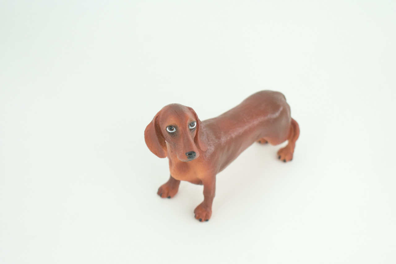 Dachshund Dog, Brown, Hand Painted, Educational, Museum Quality, Rubber Canine, K9, Realistic, Diorama, Figure, Toys, Kids, Gift,  6 Inches.  CH979 BB213 