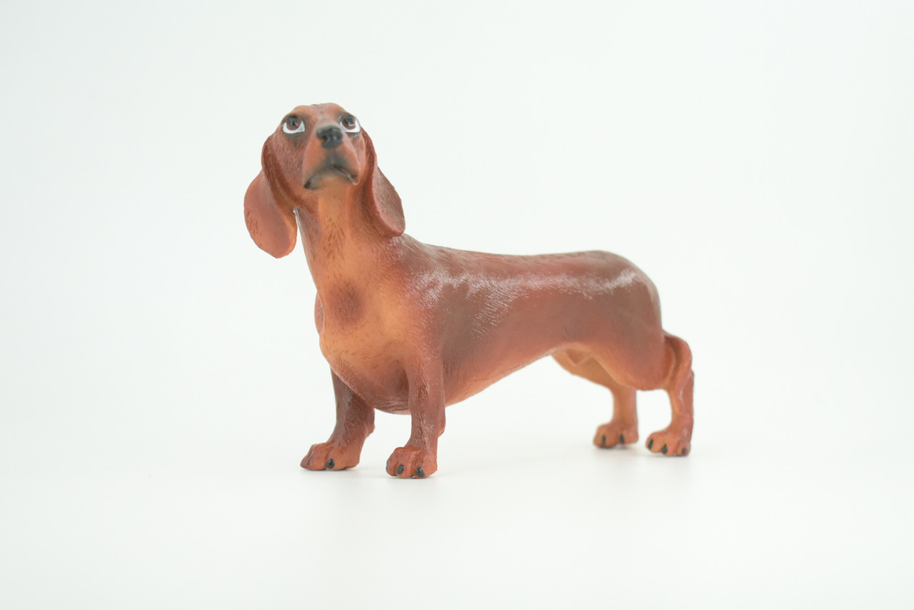 Dachshund Dog, Brown, Hand Painted, Educational, Museum Quality, Rubber Canine, K9, Realistic, Diorama, Figure, Toys, Kids, Gift,  6 Inches.  CH979 BB213 