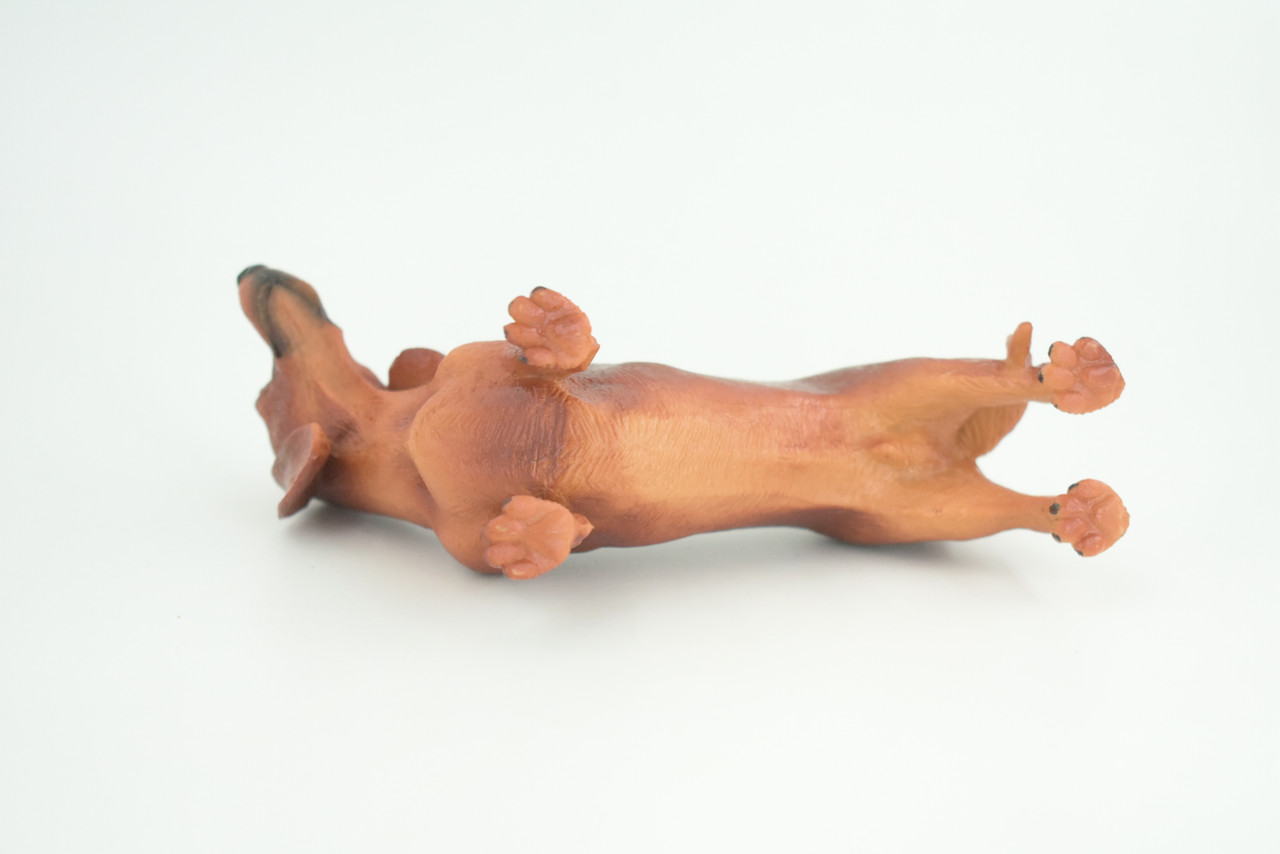 Dachshund Dog, Brown, Hand Painted, Educational, Museum Quality, Rubber Canine, K9, Realistic, Diorama, Figure, Toys, Kids, Gift,  6 Inches.  CH979 BB213 