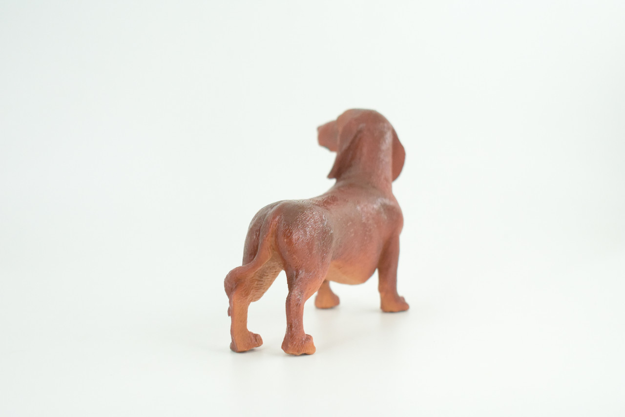 Dachshund Dog, Brown, Hand Painted, Educational, Museum Quality, Rubber Canine, K9, Realistic, Diorama, Figure, Toys, Kids, Gift,  6 Inches.  CH979 BB213 