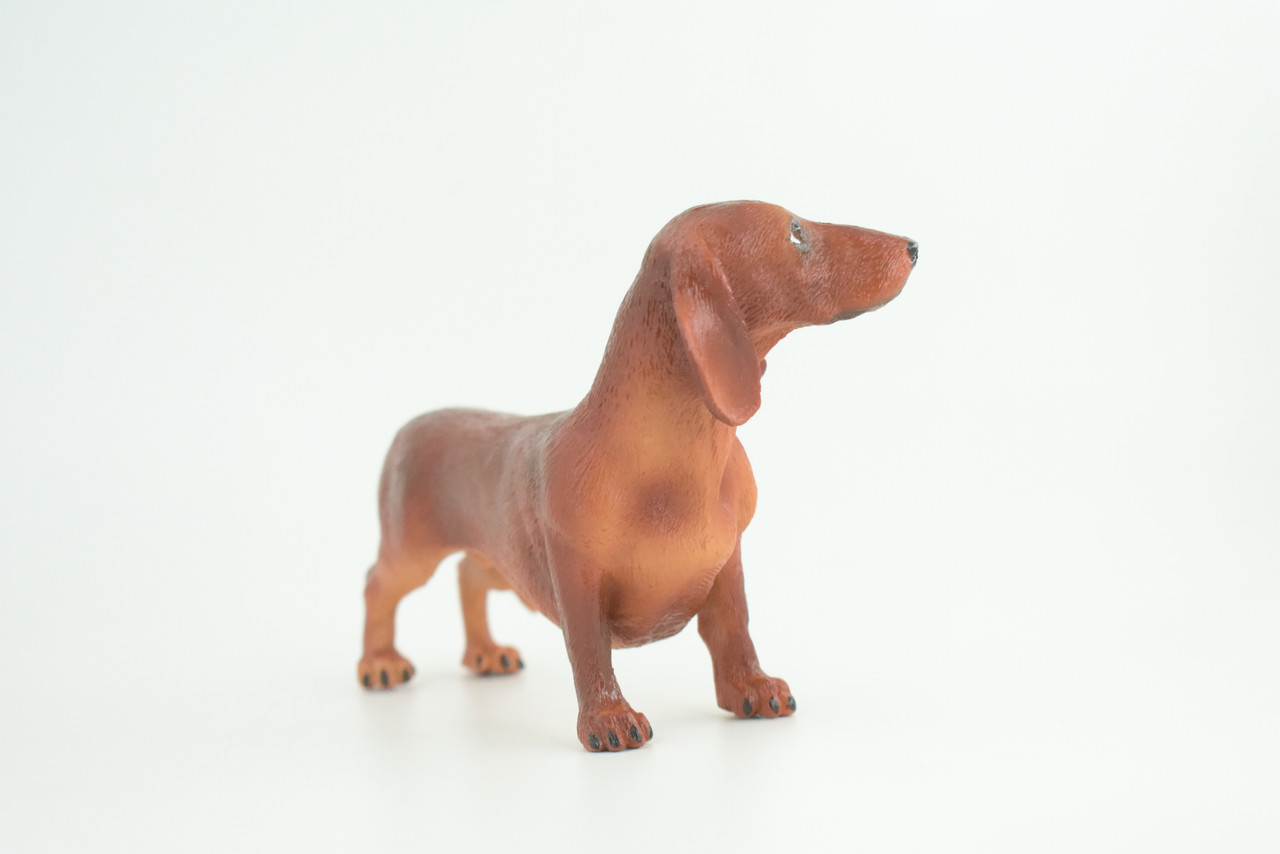 Dachshund Dog, Brown, Hand Painted, Educational, Museum Quality, Rubber Canine, K9, Realistic, Diorama, Figure, Toys, Kids, Gift,  6 Inches.  CH979 BB213 