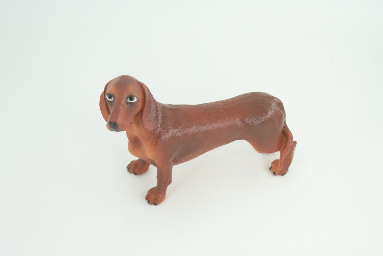 Dachshund Dog, Brown, Hand Painted, Educational, Museum Quality, Rubber Canine, K9, Realistic, Diorama, Figure, Toys, Kids, Gift,  6 Inches.  CH979 BB213 