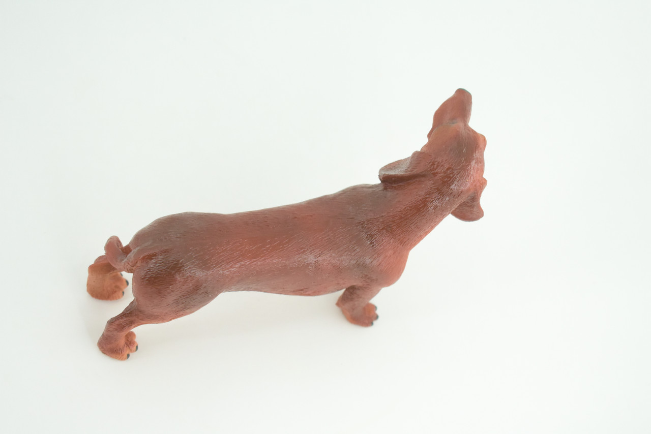 Dachshund Dog, Brown, Hand Painted, Educational, Museum Quality, Rubber Canine, K9, Realistic, Diorama, Figure, Toys, Kids, Gift,  6 Inches.  CH979 BB213 